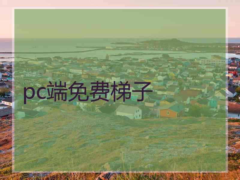 pc端免费梯子