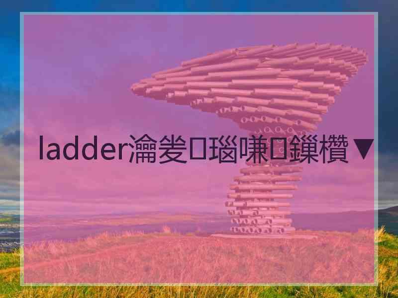 ladder瀹夎瑙嗛鏁欑▼