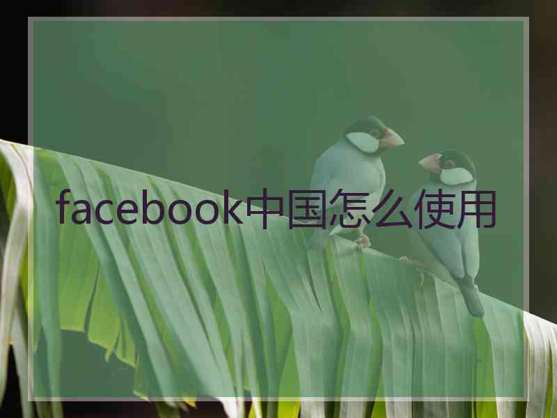 facebook中国怎么使用