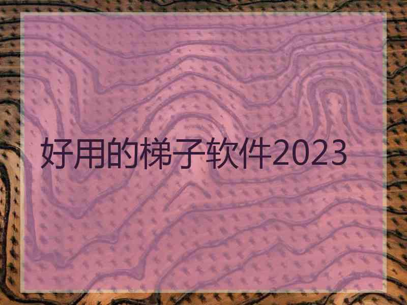 好用的梯子软件2023