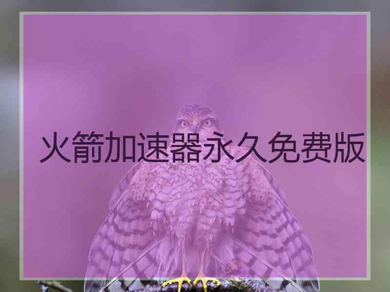 火箭加速器永久免费版