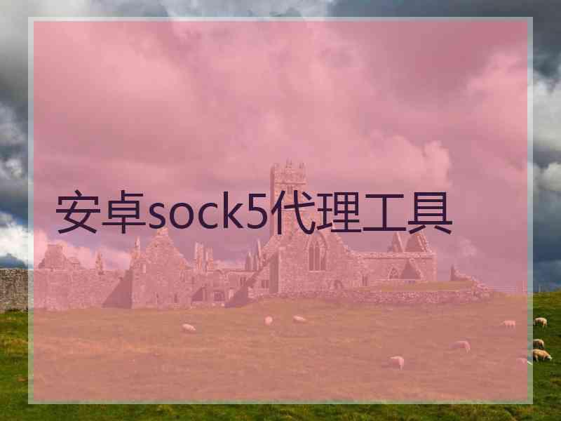 安卓sock5代理工具