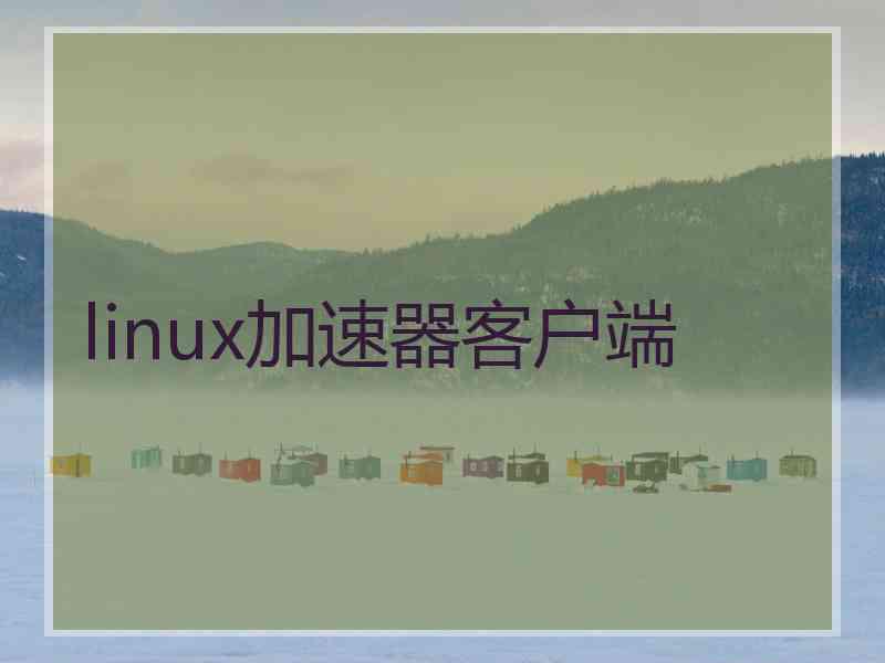 linux加速器客户端