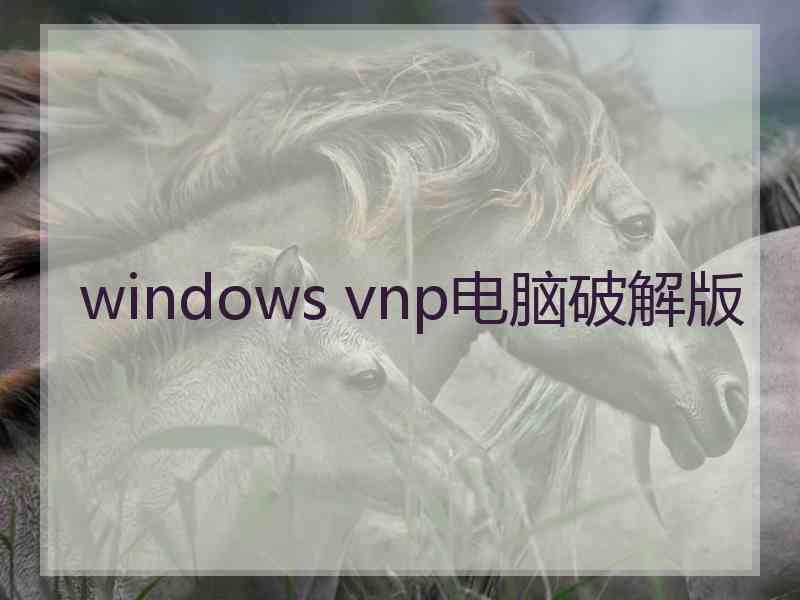 windows vnp电脑破解版