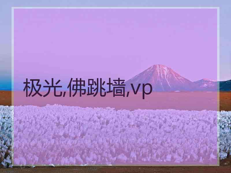 极光,佛跳墙,vp