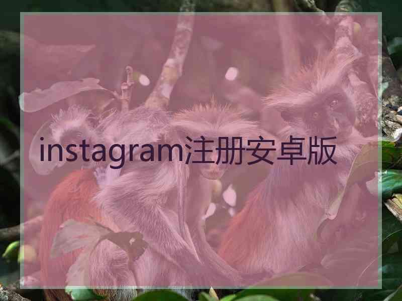 instagram注册安卓版