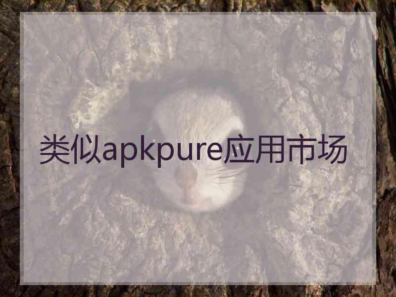 类似apkpure应用市场