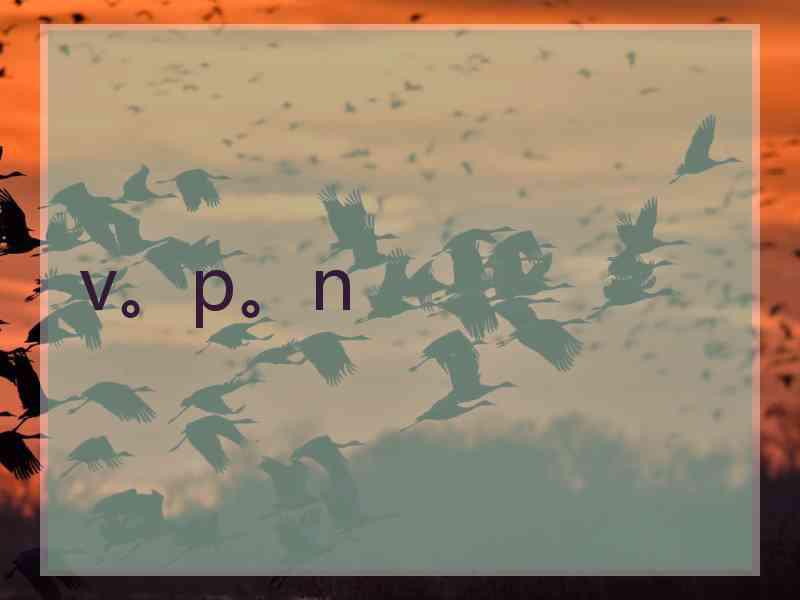 v。p。n