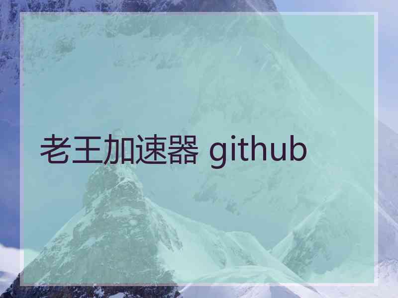 老王加速器 github