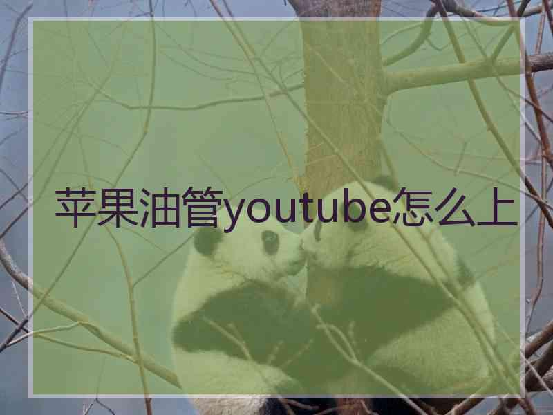 苹果油管youtube怎么上