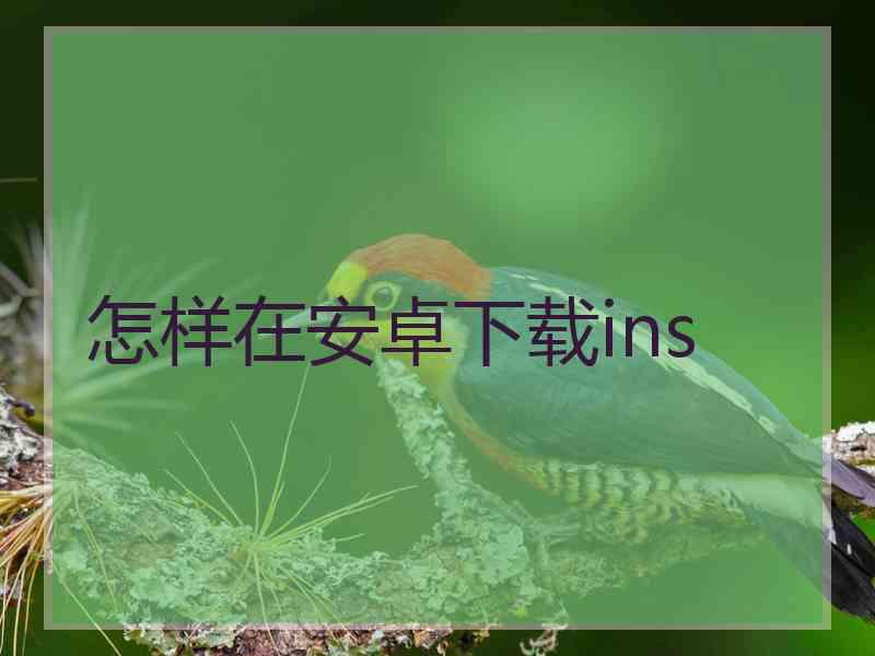 怎样在安卓下载ins