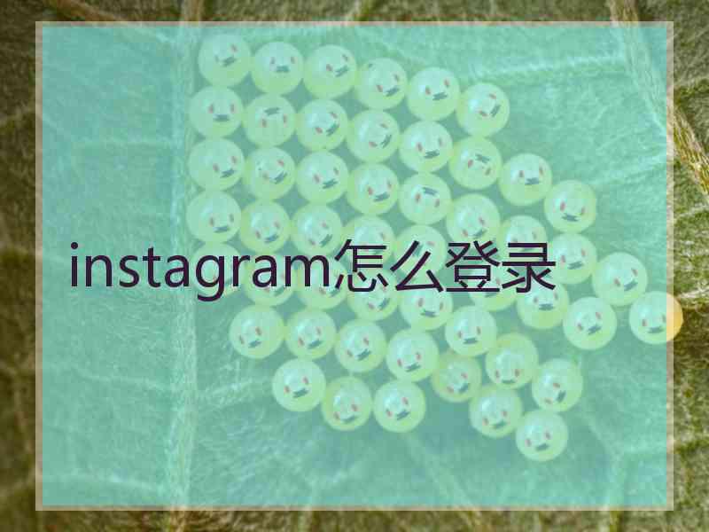 instagram怎么登录