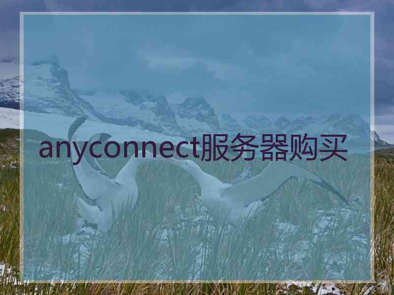 anyconnect服务器购买