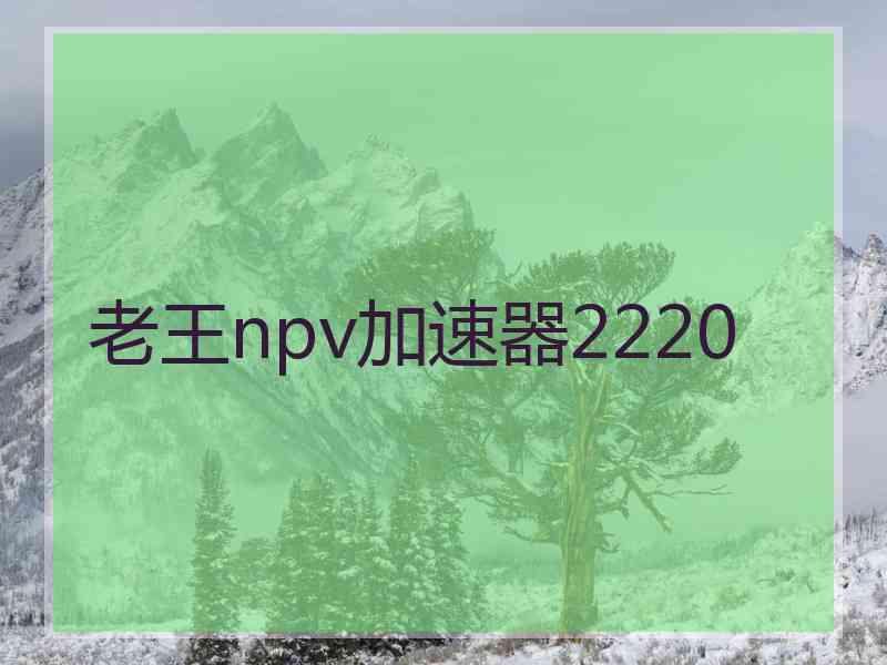 老王npv加速器2220