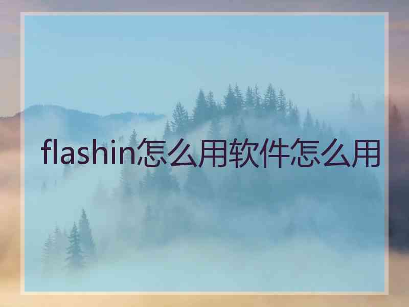 flashin怎么用软件怎么用