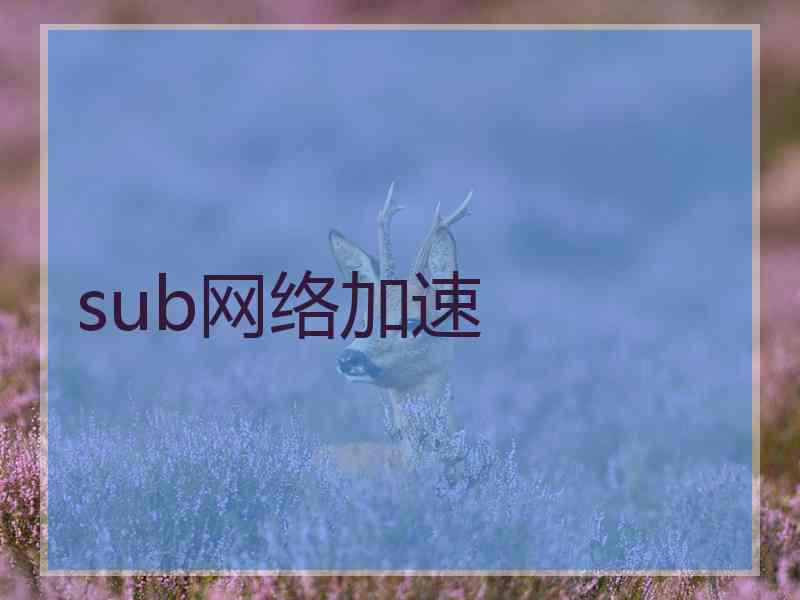 sub网络加速