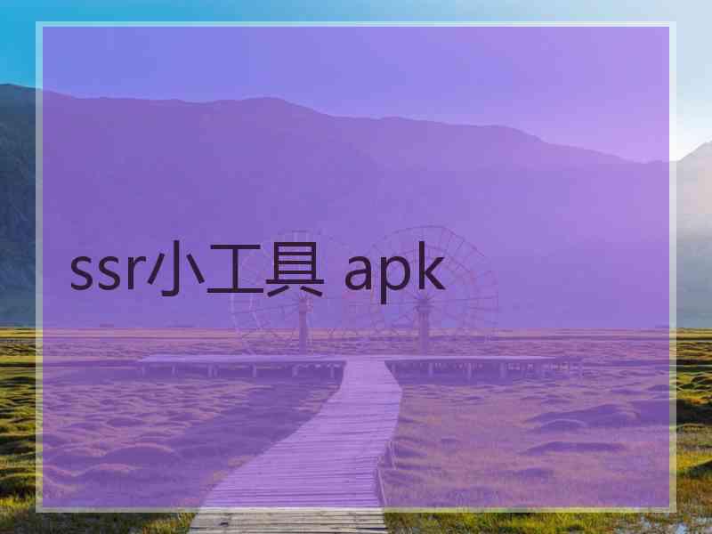 ssr小工具 apk