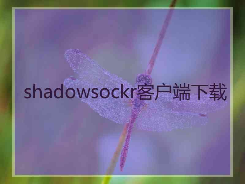 shadowsockr客户端下载