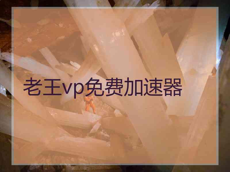 老王vp免费加速器