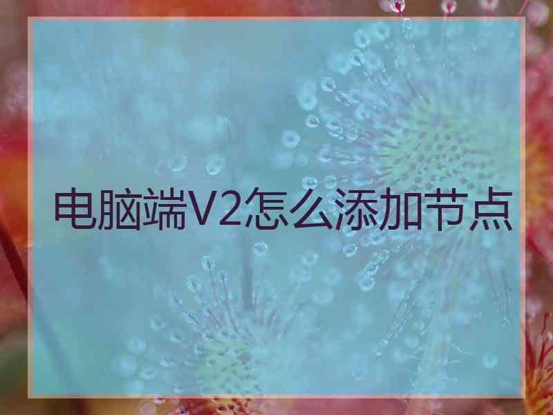 电脑端V2怎么添加节点