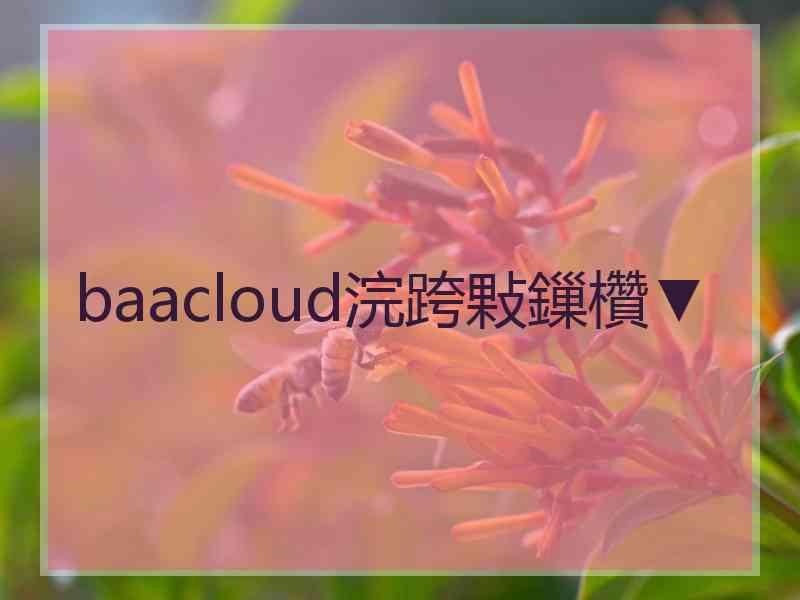 baacloud浣跨敤鏁欑▼