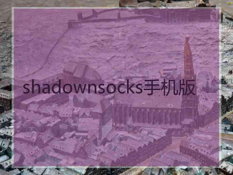 shadownsocks手机版