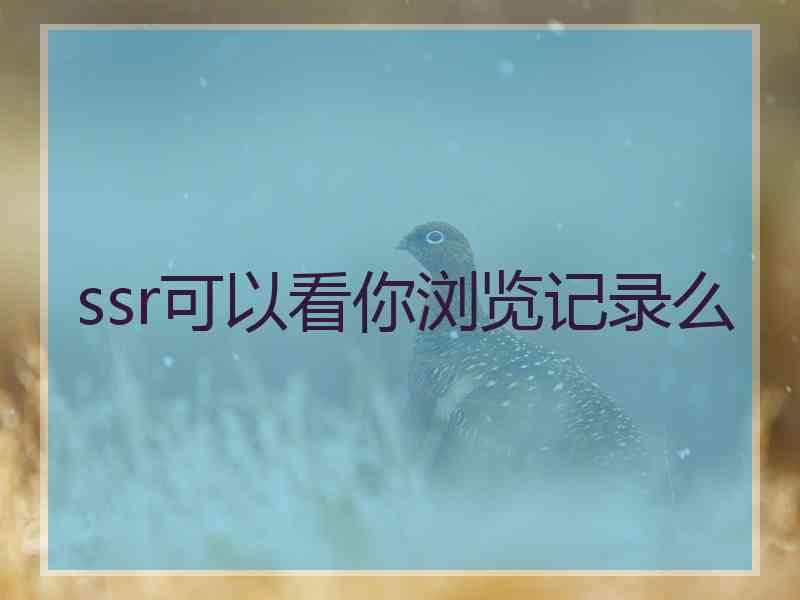 ssr可以看你浏览记录么