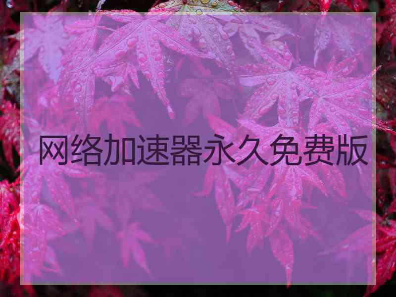 网络加速器永久免费版