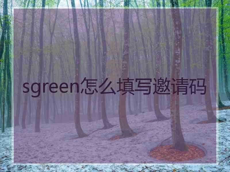 sgreen怎么填写邀请码