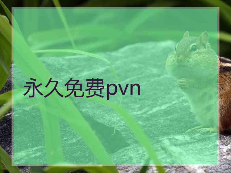 永久免费pvn