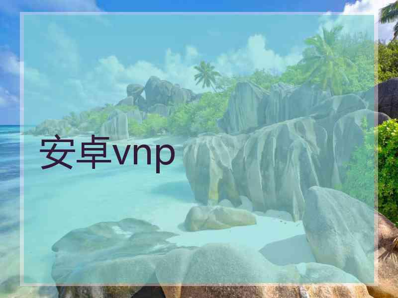 安卓vnp