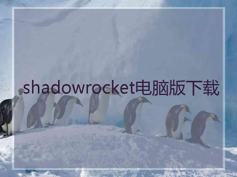 shadowrocket电脑版下载