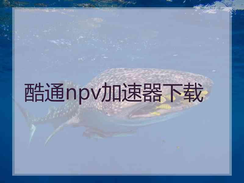 酷通npv加速器下载