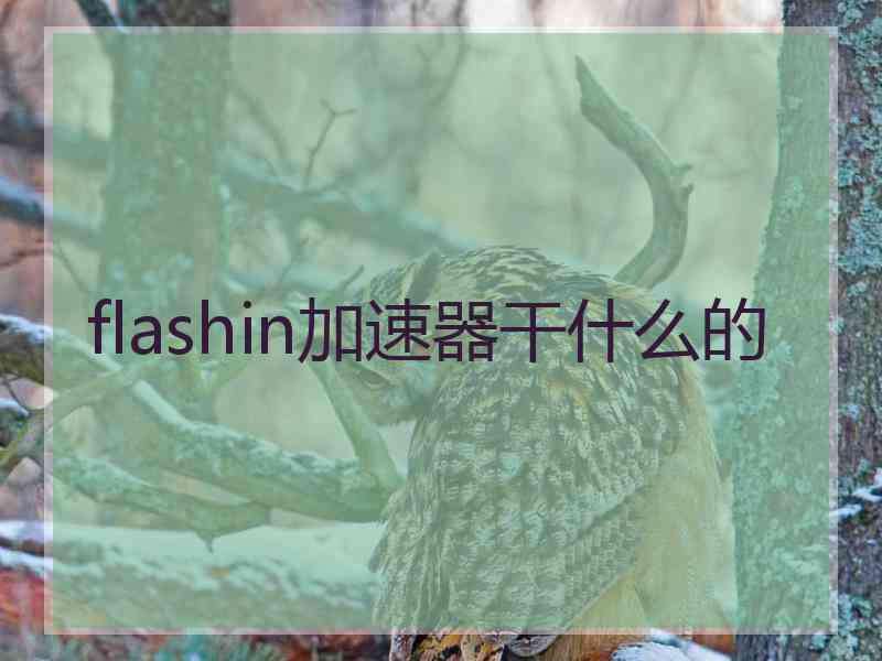 flashin加速器干什么的