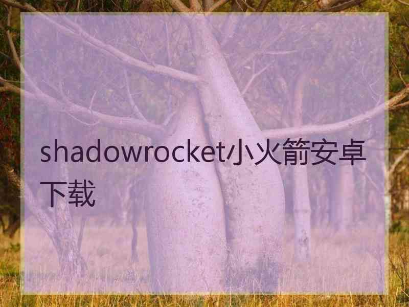 shadowrocket小火箭安卓下载