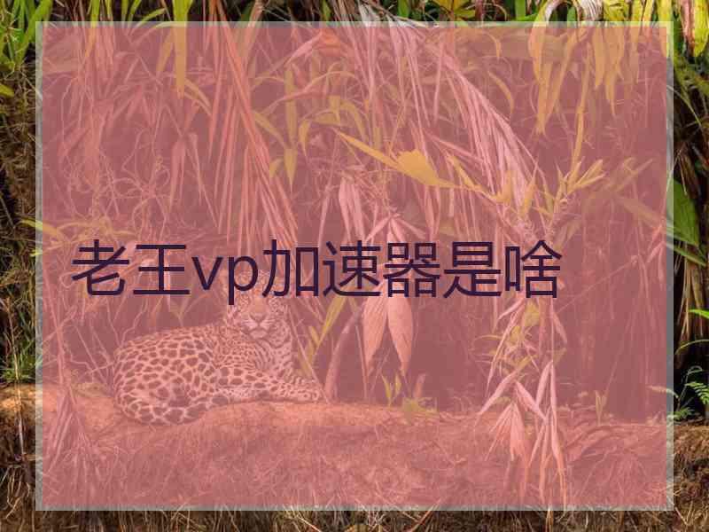 老王vp加速器是啥