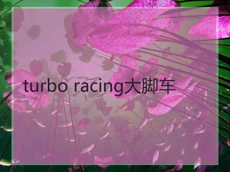 turbo racing大脚车