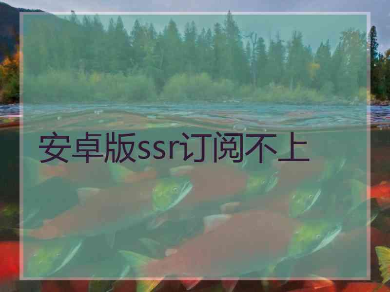 安卓版ssr订阅不上