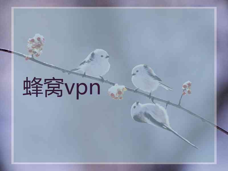 蜂窝vpn