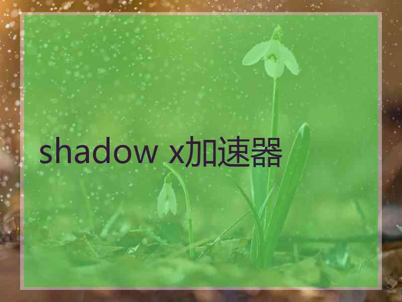 shadow x加速器