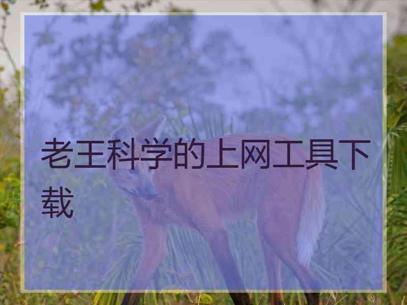 老王科学的上网工具下载