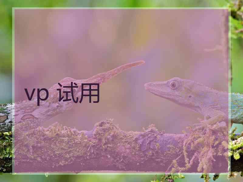 vp 试用