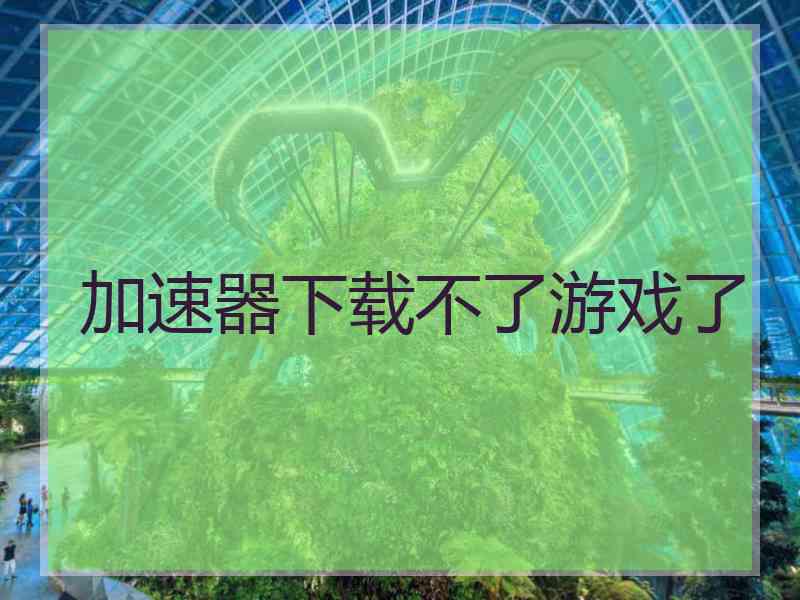 加速器下载不了游戏了