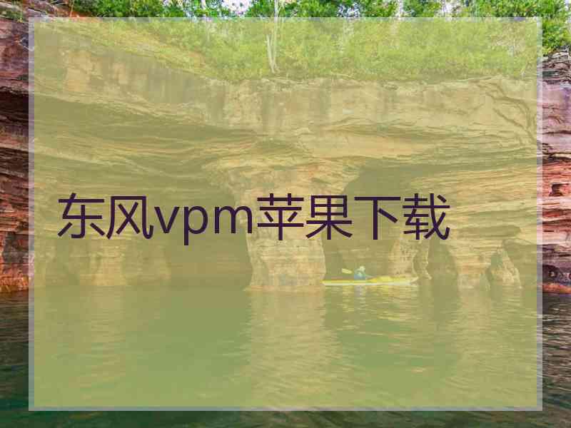 东风vpm苹果下载