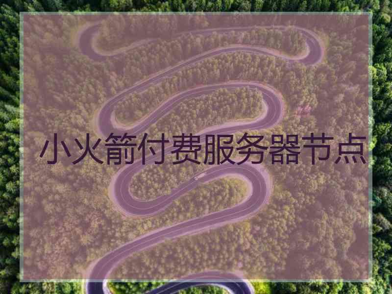 小火箭付费服务器节点