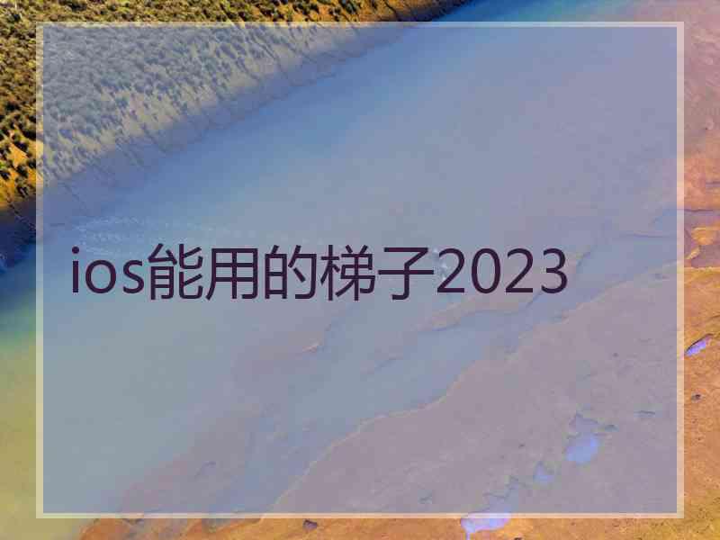 ios能用的梯子2023