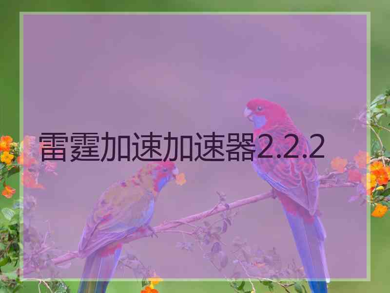 雷霆加速加速器2.2.2