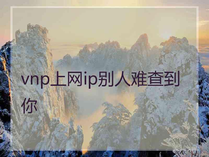 vnp上网ip别人难查到你