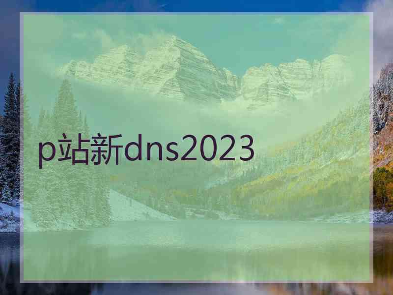 p站新dns2023