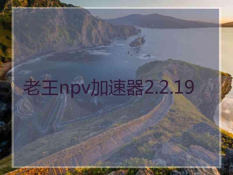 老王npv加速器2.2.19